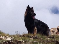Ki-Shani